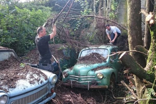 TROVATE NEL BOSCO 81 AUTO STORICHE 