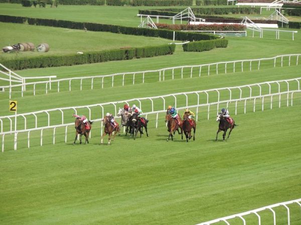 IPPODROMO SAN SIRO: TROFEO OAKS -  CORSA AL GALOPPO MONDANITA' ELEGANZA E.... AUTO STORICHE 