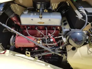 Foto 9 di 17: MG TD   