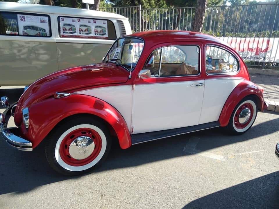 Volkswagen Maggiolino Berlina   