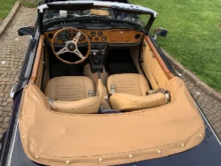 Foto 5 di 8: TRIUMPH TR6 PI 