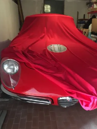 Foto 9 di 13: ALFA ROMEO Duetto 1750 Spider Veloce