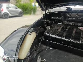 Foto 14 di 15: Volkswagen Maggiolino Cabrio    