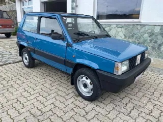 Foto 3 di 10: FIAT Panda 4x4 Tetto Apribile 