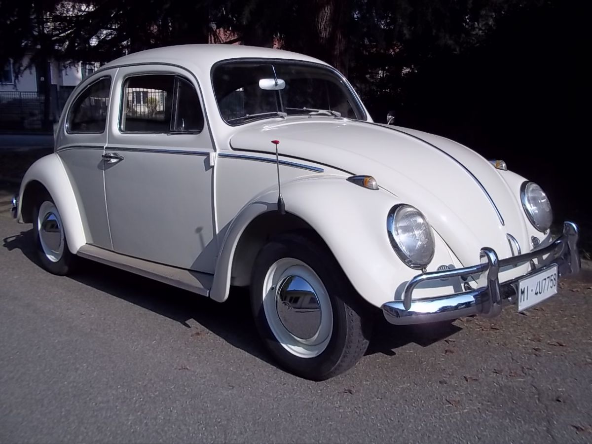 Volkswagen Maggiolino .