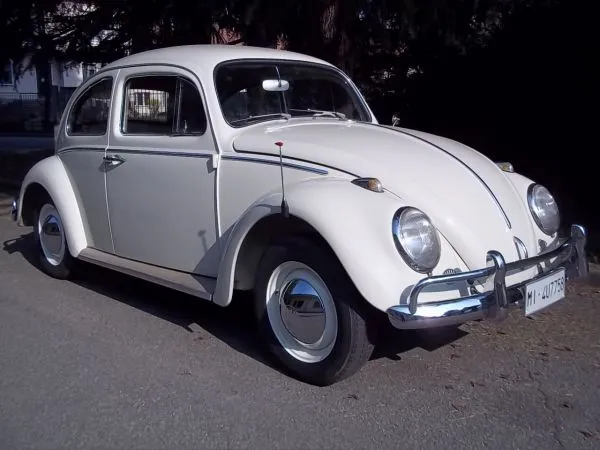 Volkswagen Maggiolino .