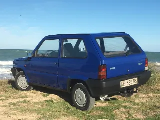 Foto 1 di 4: FIAT Panda Young 900 