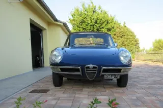 Foto 4 di 24: ALFA ROMEO Spider Osso di seppia 