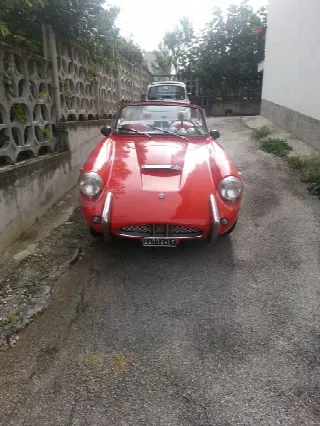Foto 6 di 10: SABRA SPORT Sabra Sport 1965           