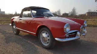 Foto 1 di 10: ALFA ROMEO Giulietta Giulietta spider passo corto 750 D      