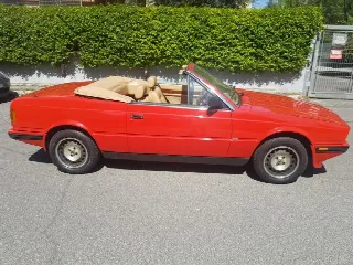 Foto 6 di 6: MASERATI BiTurbo(1981-1994) Spider zagato 