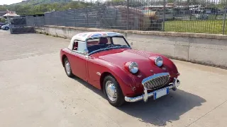 Foto 11 di 12: AUSTIN HEALEY Sprite  