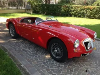 Foto 1 di 5: MG A Roadster  Le Mans kit