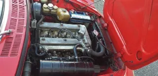 Foto 2 di 7: ALFA ROMEO 1600 Coda Tronca  