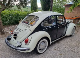 Foto 6 di 11: Volkswagen Maggiolino 11 D 11 Maggiolone 1302 vetro piatto 
