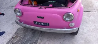 Foto 4 di 6: FIAT 500 Giardiniera 