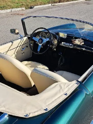 Foto 16 di 19: ALFA ROMEO 2000 Touring Spider