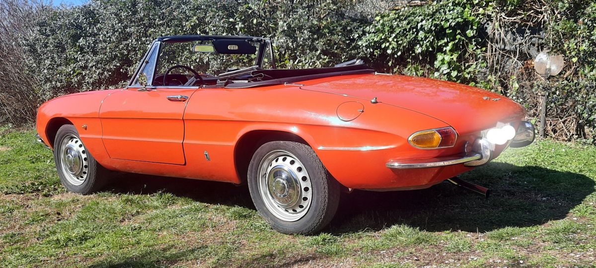 ALFA ROMEO Spider Duetto Osso di seppia 