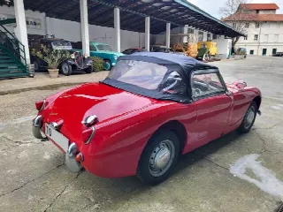 Foto 35 di 51: AUSTIN HEALEY Frogeye Sprite MKI - SUMMER PRICE