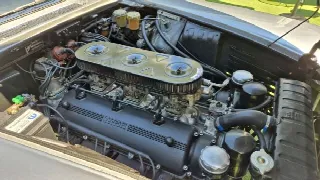 Foto 56 di 66: FERRARI 330 GT 2+2 I Serie 