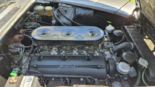 Foto 55 di 66: FERRARI 330 GT 2+2 I Serie 