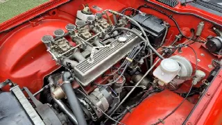 Foto 41 di 65: TRIUMPH TR6 Kit Sportivo - SUMMER PRICE