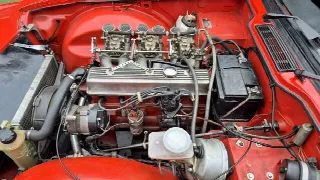 Foto 46 di 65: TRIUMPH TR6 Kit Sportivo - SUMMER PRICE
