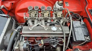 Foto 45 di 65: TRIUMPH TR6 Kit Sportivo - SUMMER PRICE