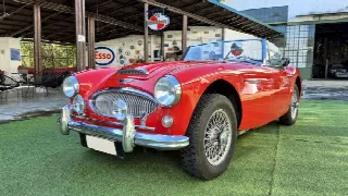 Foto 8 di 64: AUSTIN HEALEY 3000 BJ8 MK III - SUMMER PRICE