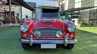 Foto 7 di 64: AUSTIN HEALEY 3000 BJ8 MK III - SUMMER PRICE