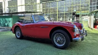Foto 5 di 64: AUSTIN HEALEY 3000 BJ8 MK III - SUMMER PRICE