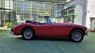 Foto 10 di 64: AUSTIN HEALEY 3000 BJ8 MK III - SUMMER PRICE