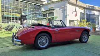 Foto 16 di 64: AUSTIN HEALEY 3000 BJ8 MK III - SUMMER PRICE
