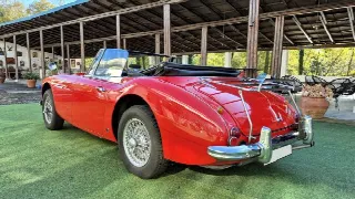 Foto 15 di 64: AUSTIN HEALEY 3000 BJ8 MK III - SUMMER PRICE