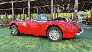 Foto 11 di 64: AUSTIN HEALEY 3000 BJ8 MK III - SUMMER PRICE