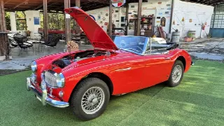 Foto 45 di 64: AUSTIN HEALEY 3000 BJ8 MK III - SUMMER PRICE