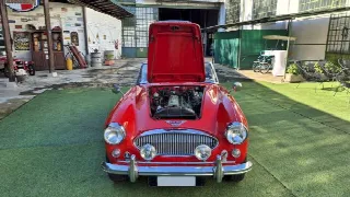 Foto 46 di 64: AUSTIN HEALEY 3000 BJ8 MK III - SUMMER PRICE