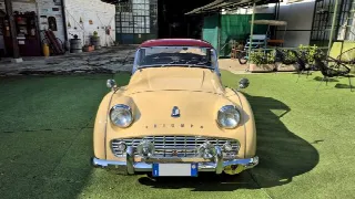 Foto 63 di 70: TRIUMPH TR3A  