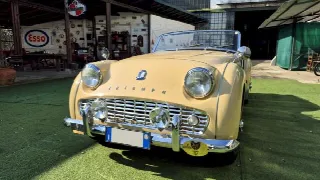 Foto 7 di 70: TRIUMPH TR3A  