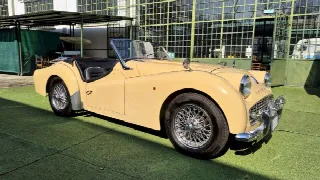 Foto 6 di 70: TRIUMPH TR3A  