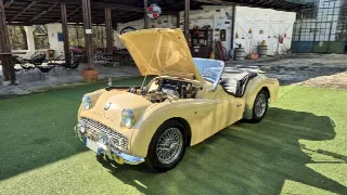 Foto 39 di 70: TRIUMPH TR3A  