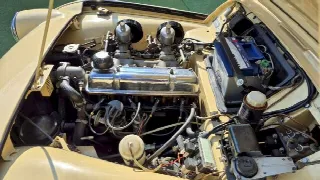 Foto 40 di 70: TRIUMPH TR3A  