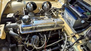 Foto 45 di 70: TRIUMPH TR3A  