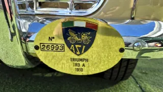 Foto 50 di 70: TRIUMPH TR3A  