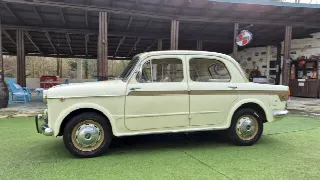 Foto 4 di 65: FIAT 1100 1100/103 H Lusso - SUMMER PRICE