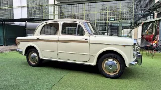 Foto 9 di 65: FIAT 1100 1100/103 H Lusso - SUMMER PRICE