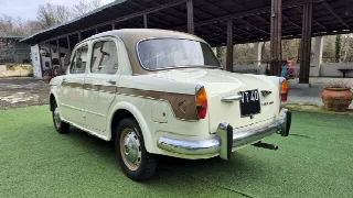 Foto 15 di 65: FIAT 1100 1100/103 H Lusso - SUMMER PRICE