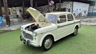 Foto 57 di 65: FIAT 1100 1100/103 H Lusso - SUMMER PRICE