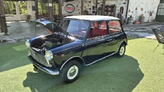 Foto 33 di 46: MINI  Other Minor 850 Innocenti MKIII - SUMMER PRICE