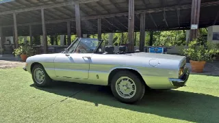 Foto 11 di 58: ALFA ROMEO Spider 1300 Junior - SUMMER PRICE 